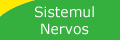 Meniu sistemul nervos